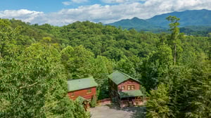 Aerial Property View