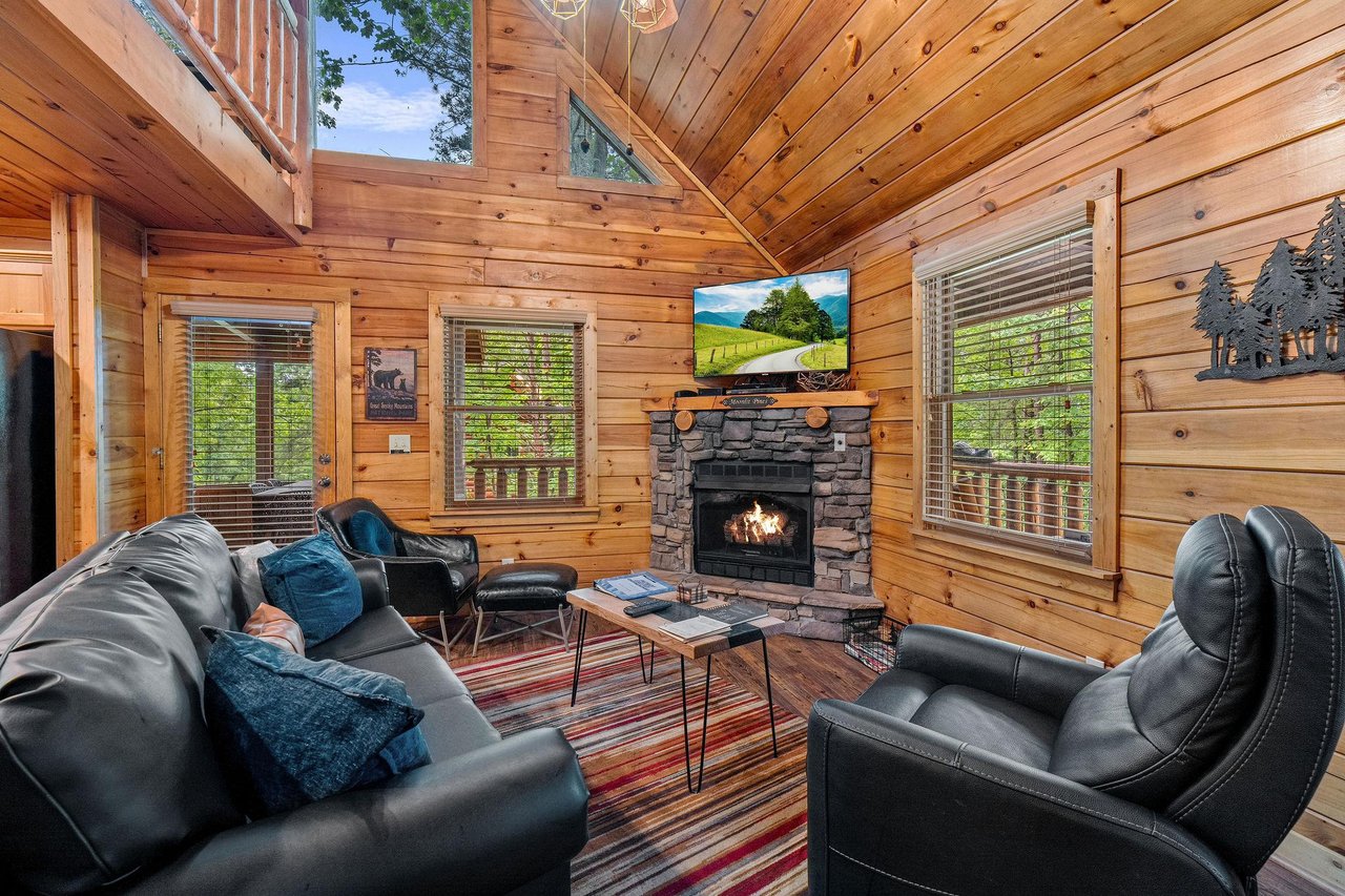 fireplace, TV, sleeper sofa  natural lighting