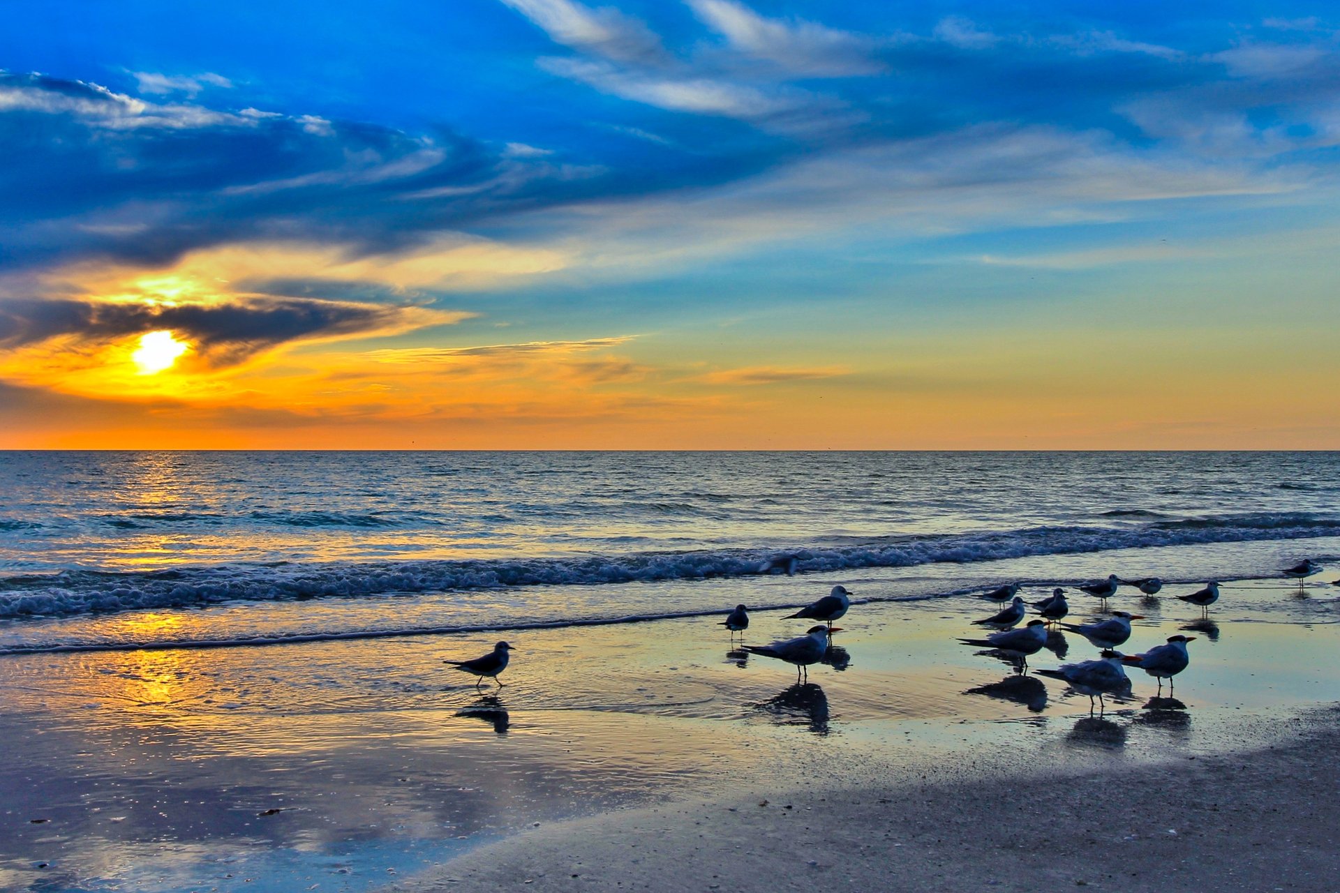 Harborview Grande 404 31