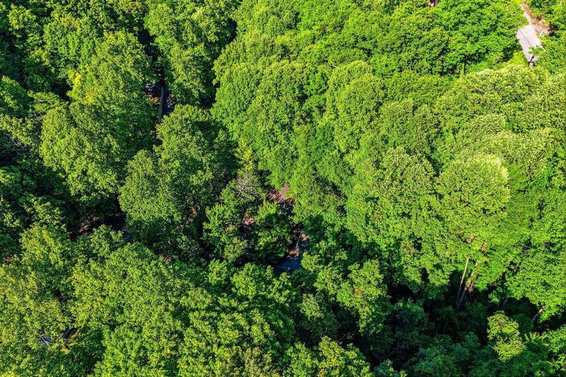An aerial view captures the property nestled within a lush, verdant forest canopy, showcasing the serene natural surroundings of the area.