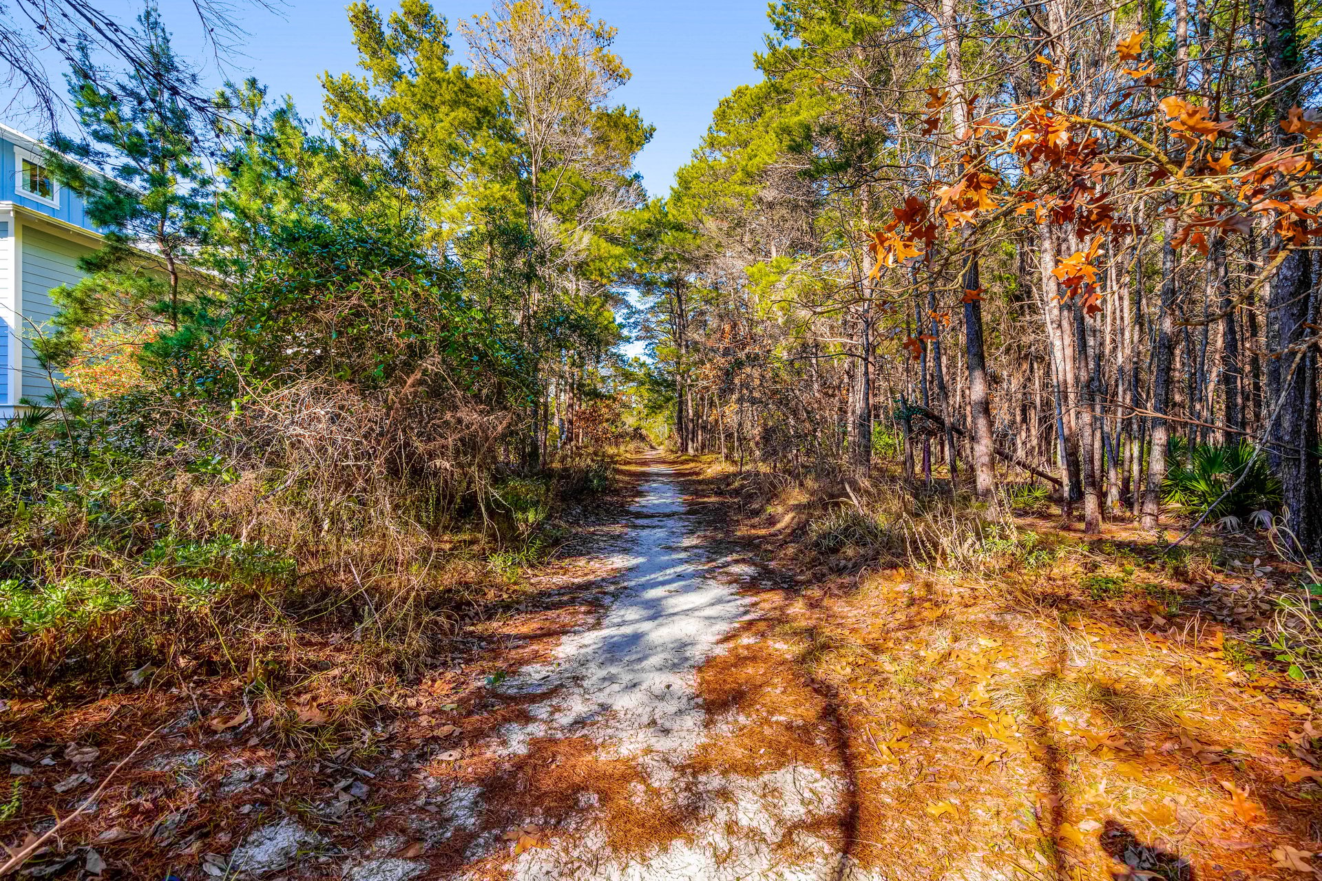 Sugar Breeze at Highland Parks 30A 46