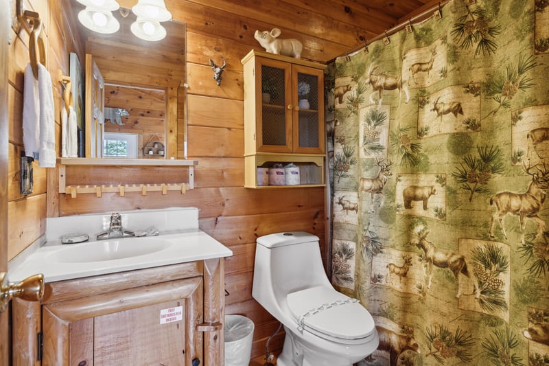 Full bathroom with single vanity sink
