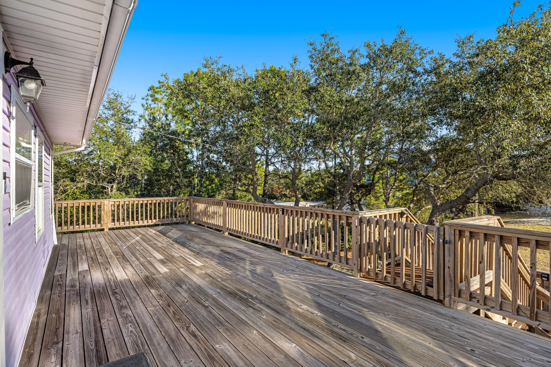 The Purple Palmetto 22