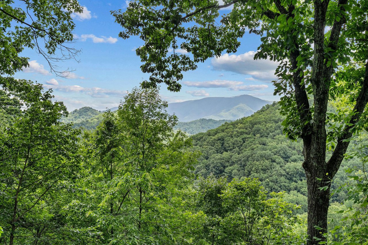 mountainmoonshine27