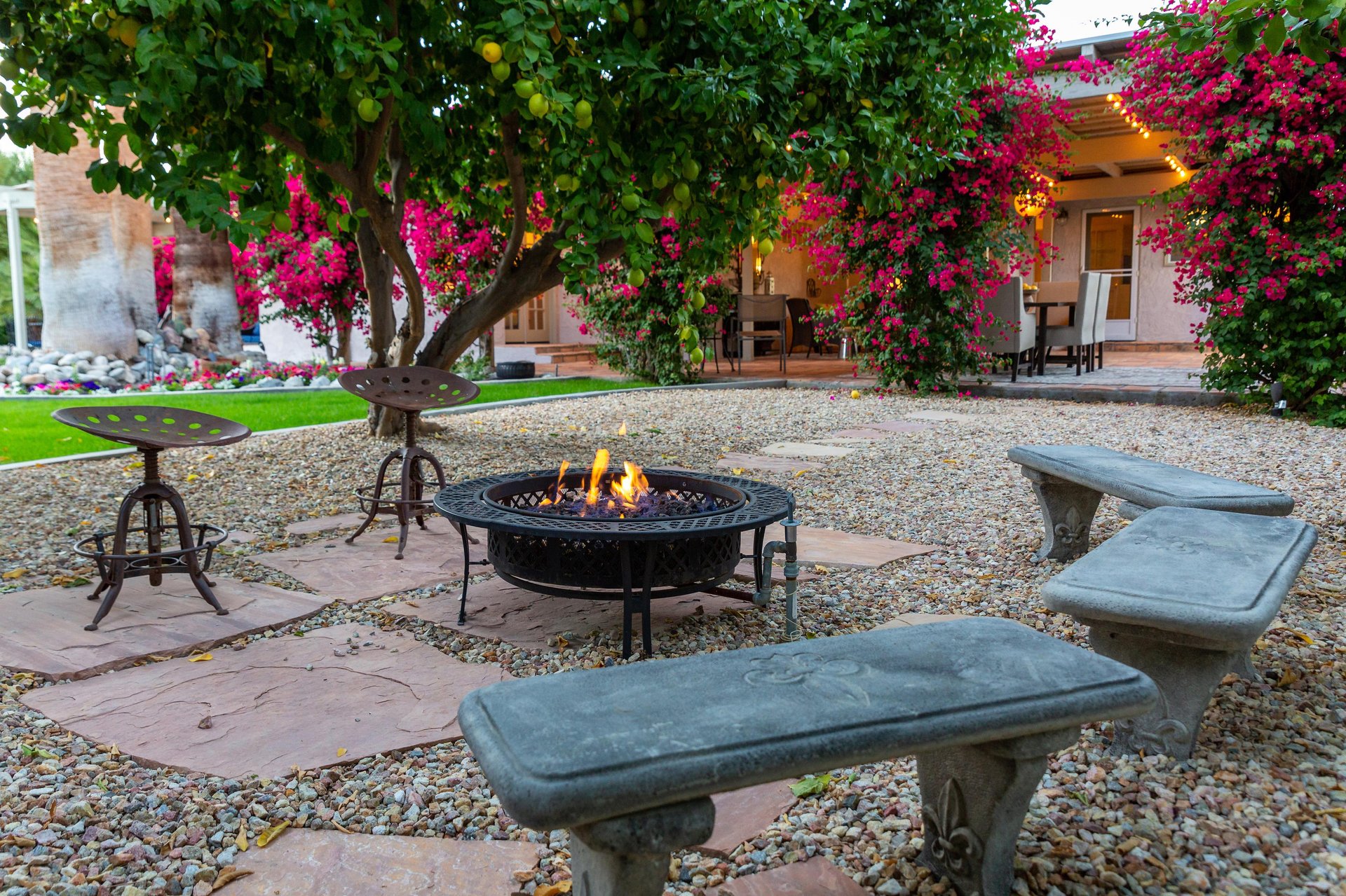 Fruit bearing citrus trees