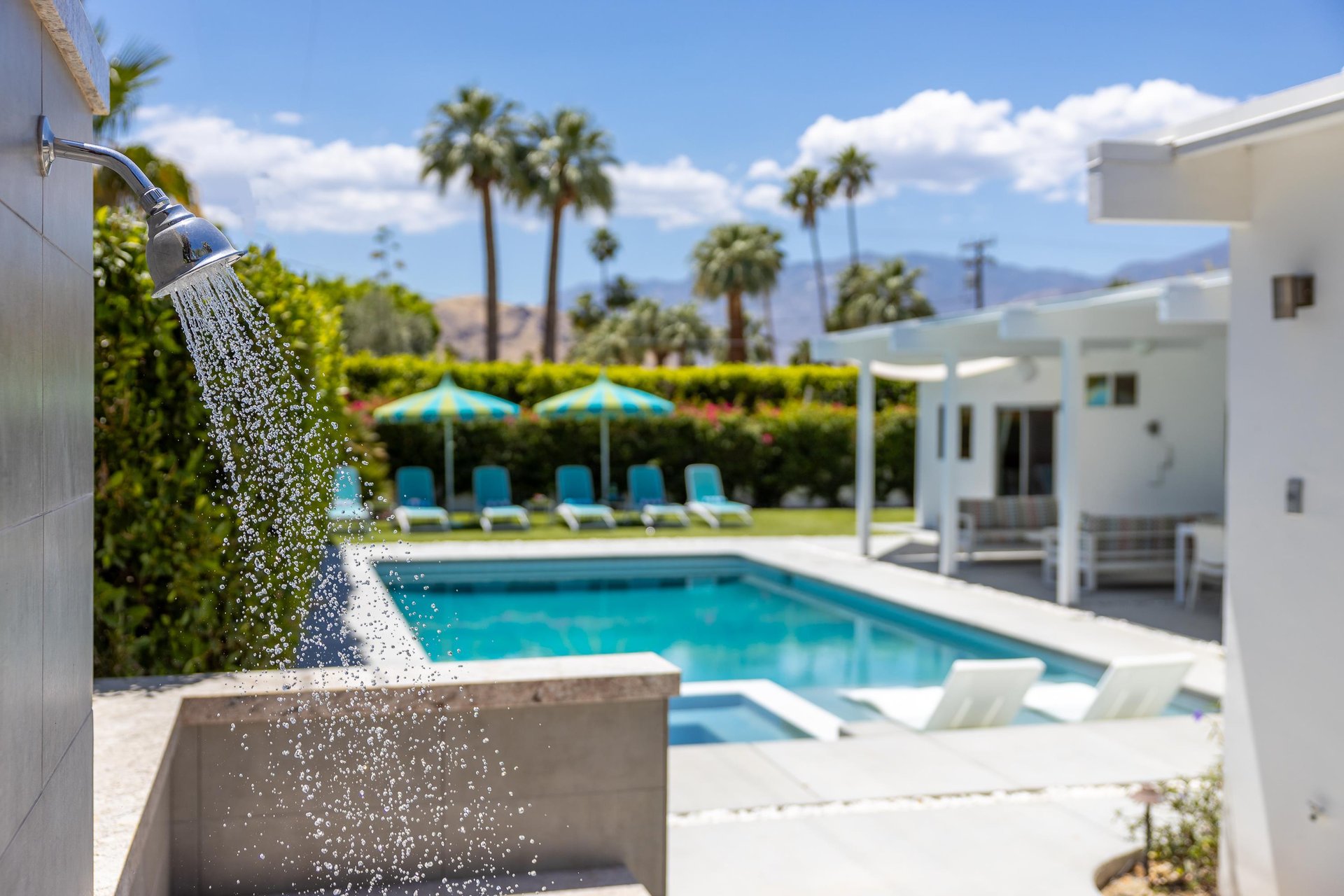 Gorgeous backyard
