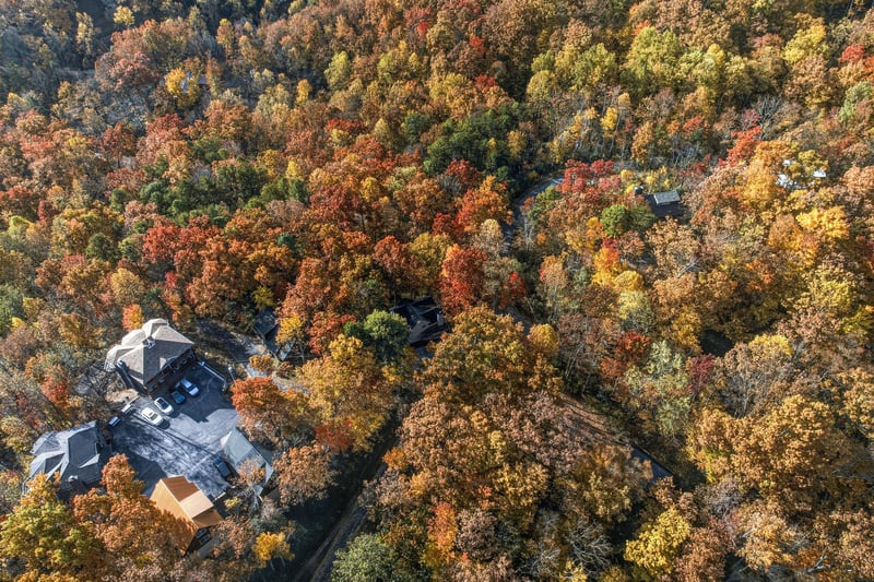 Aerial Property View