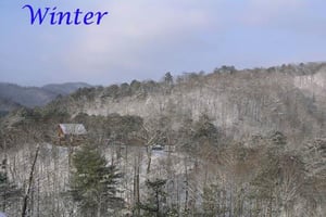 Winter View