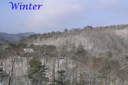 Winter View