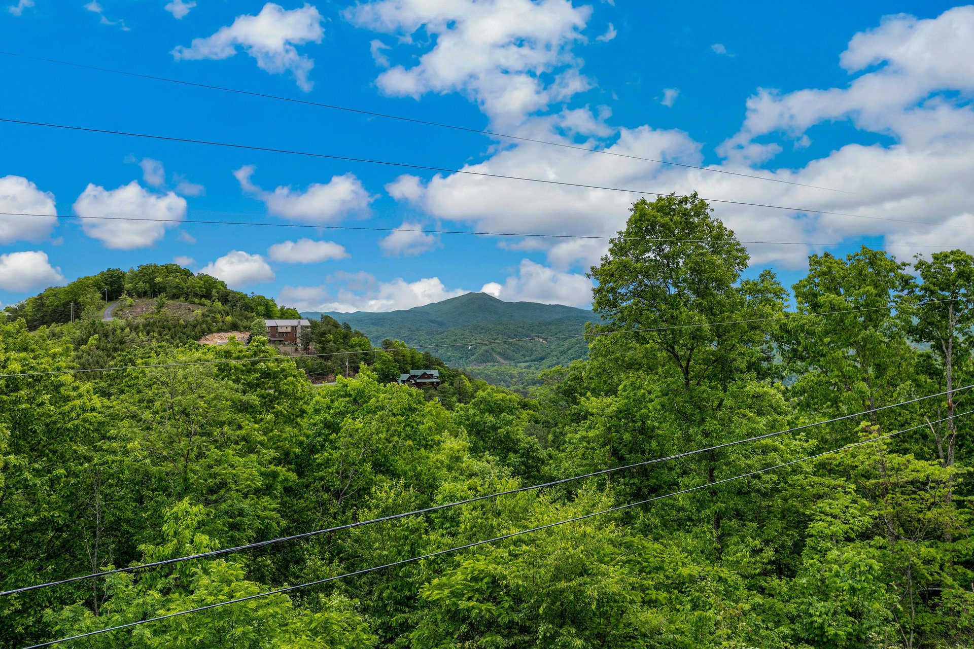 View from Deck