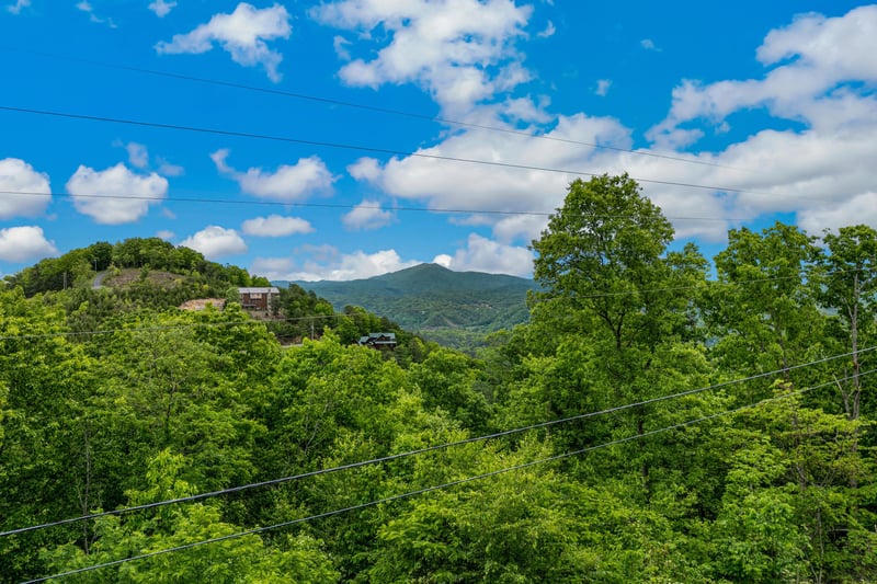 View from Deck