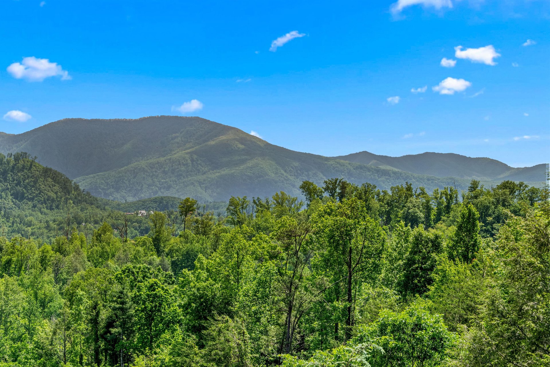 mountainsplendor20