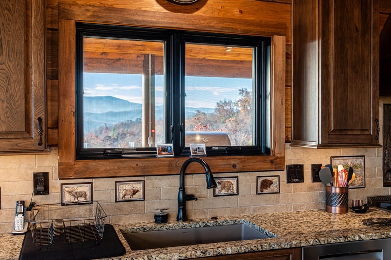 Kitchen Sink View