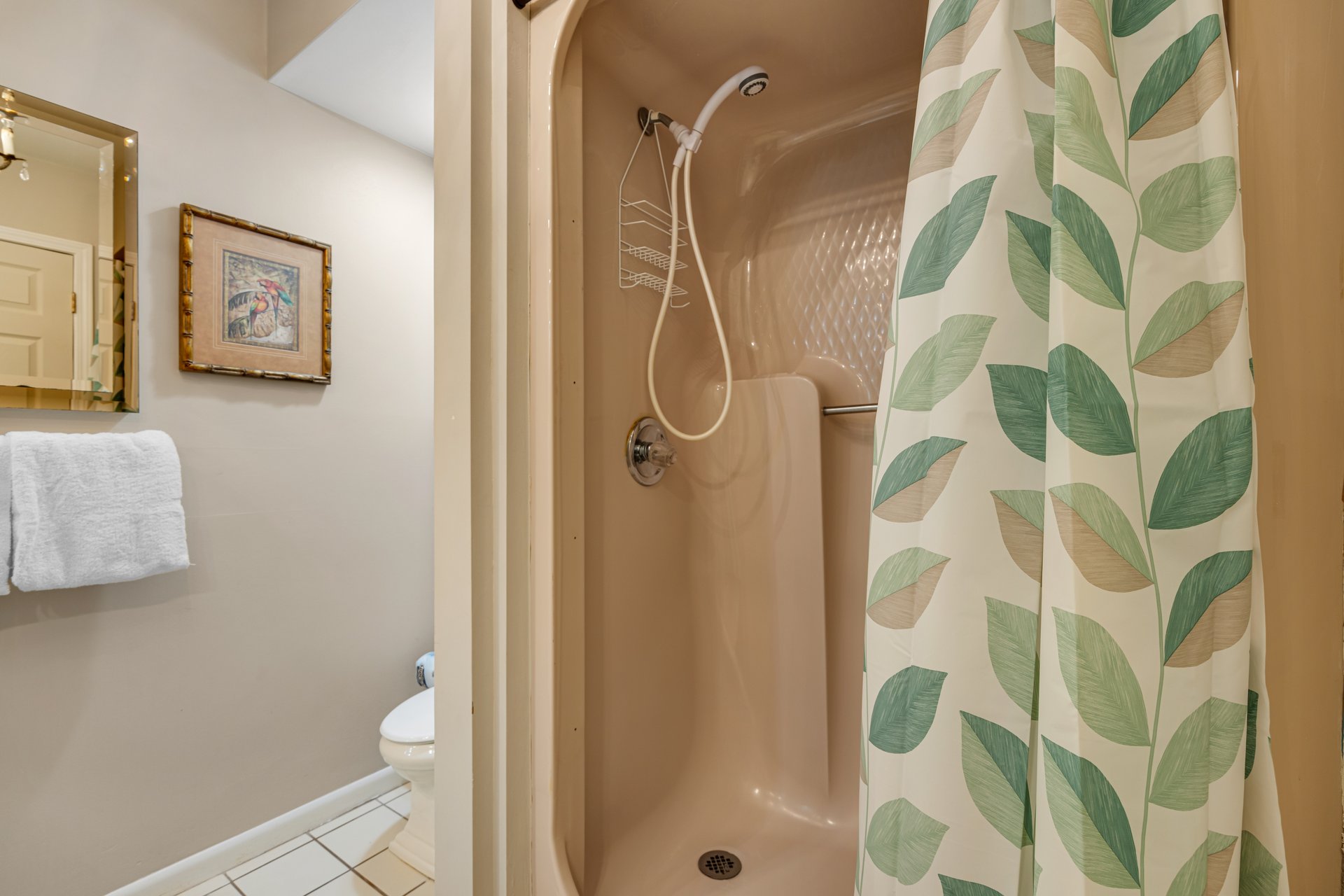 Green Reef Townhomes 19  Dolphin Run 21