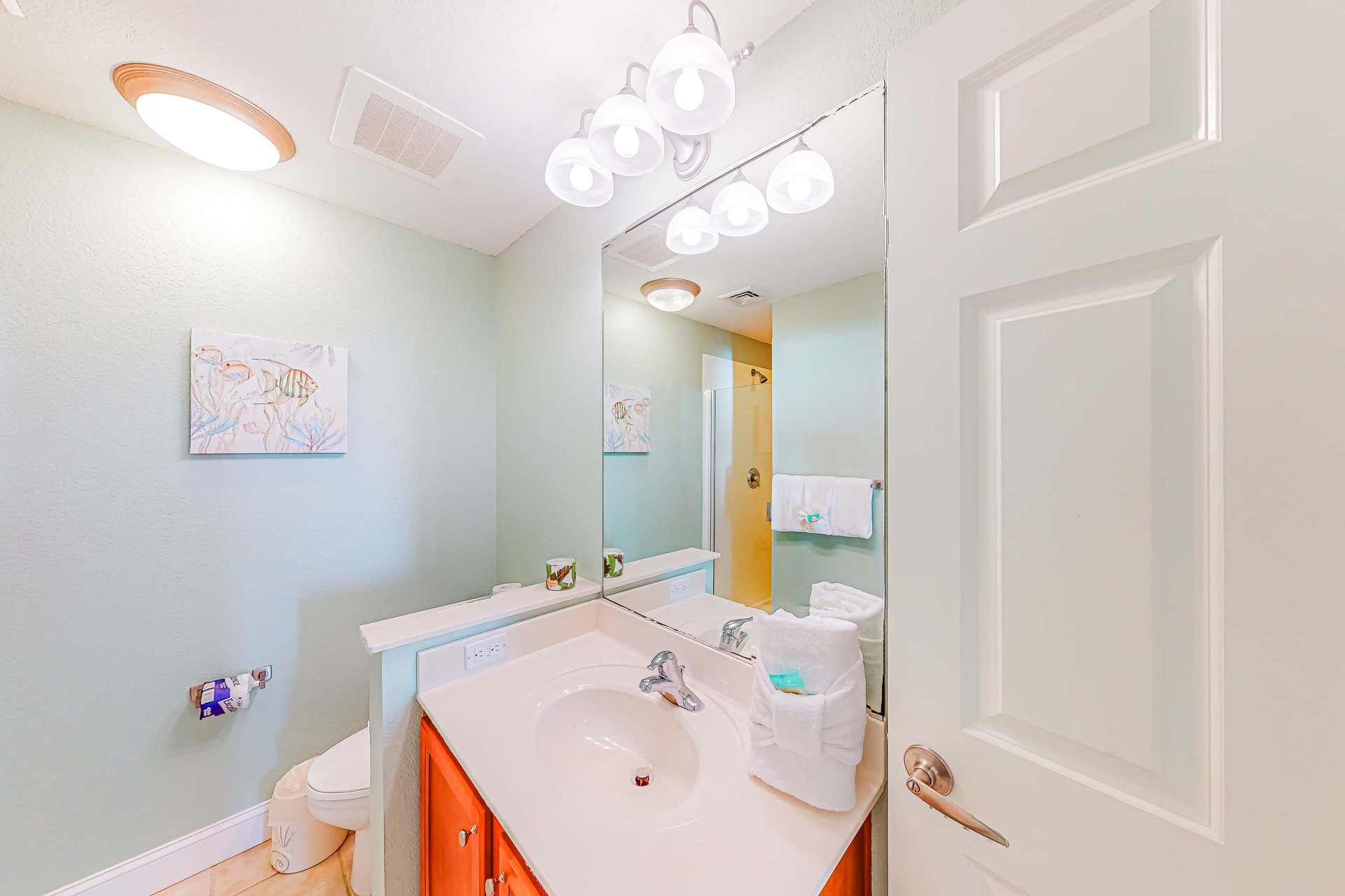 Emerald Dolphin 540 17