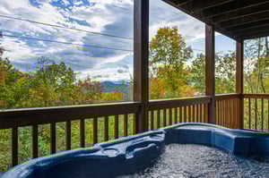 sweetbearolineextupdate8