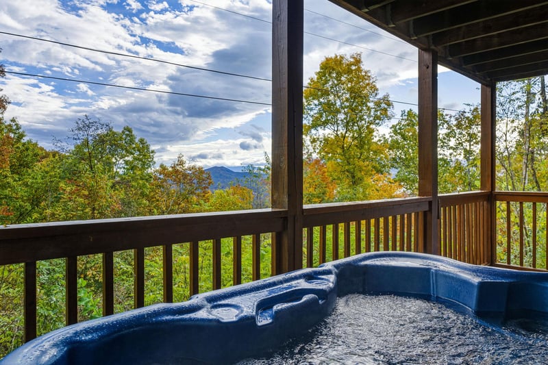 sweetbearolineextupdate8