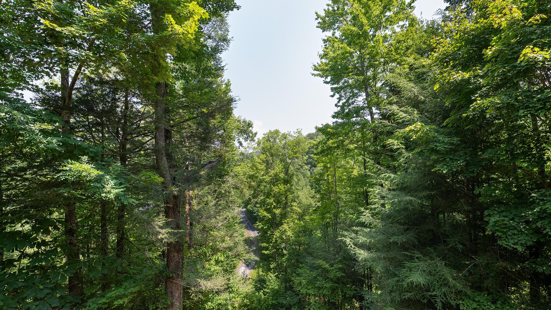 at hooked on bears a 2 bedroom cabin rental located in pigeon forge