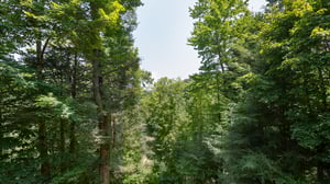 at hooked on bears a 2 bedroom cabin rental located in pigeon forge