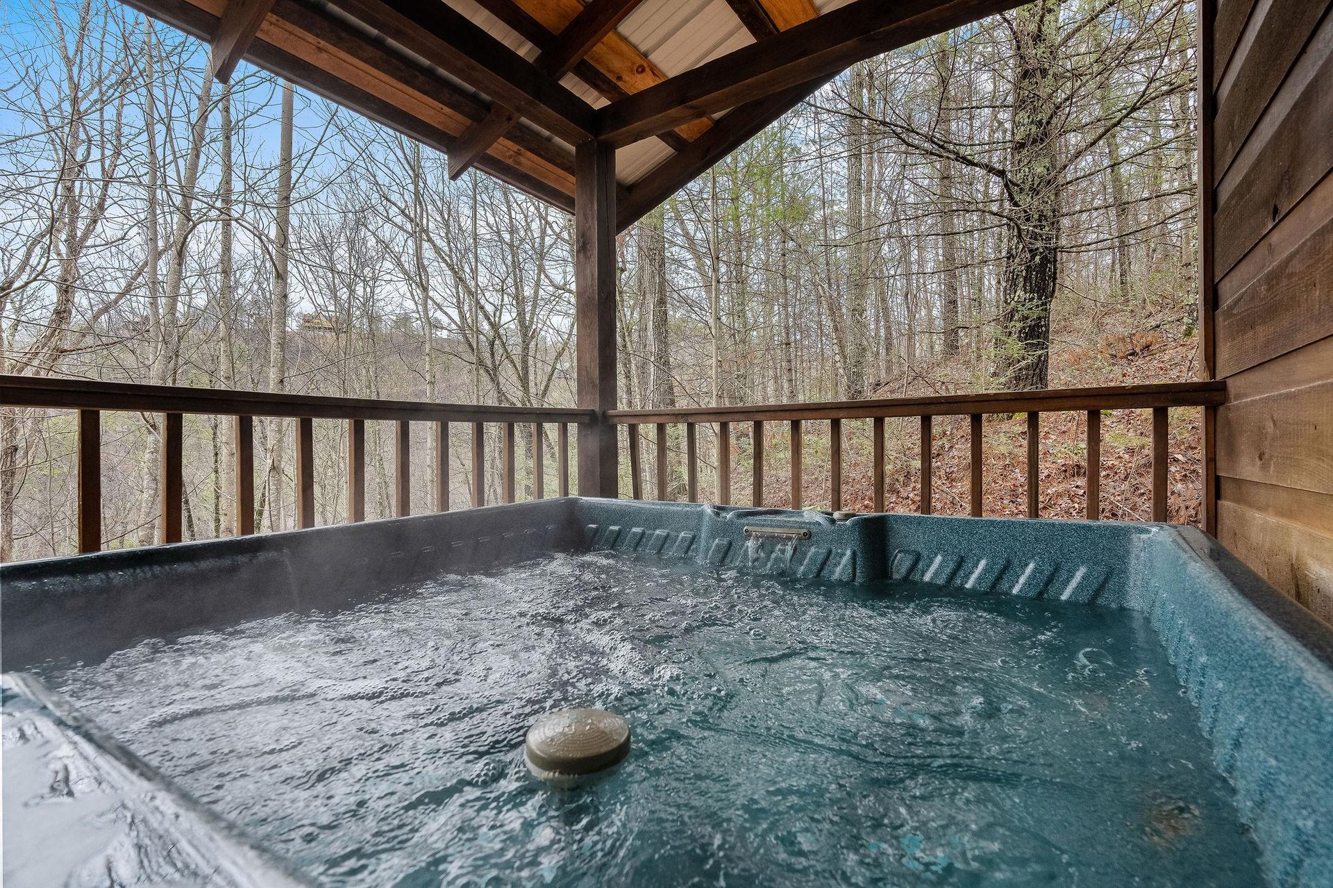 dogwoodridge31