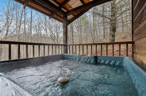 dogwoodridge31