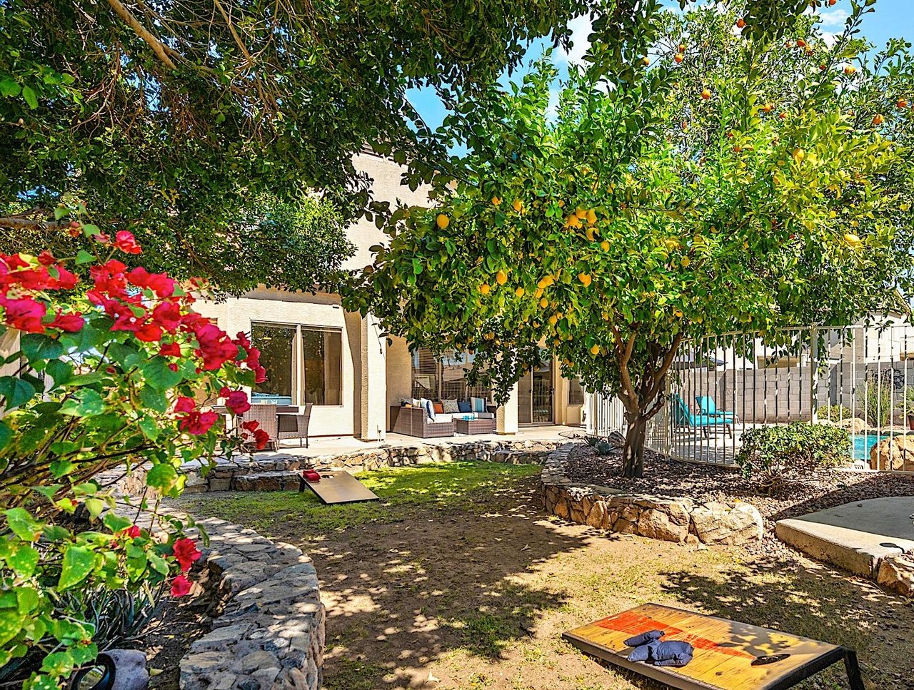 Orange Blossom Hideaway