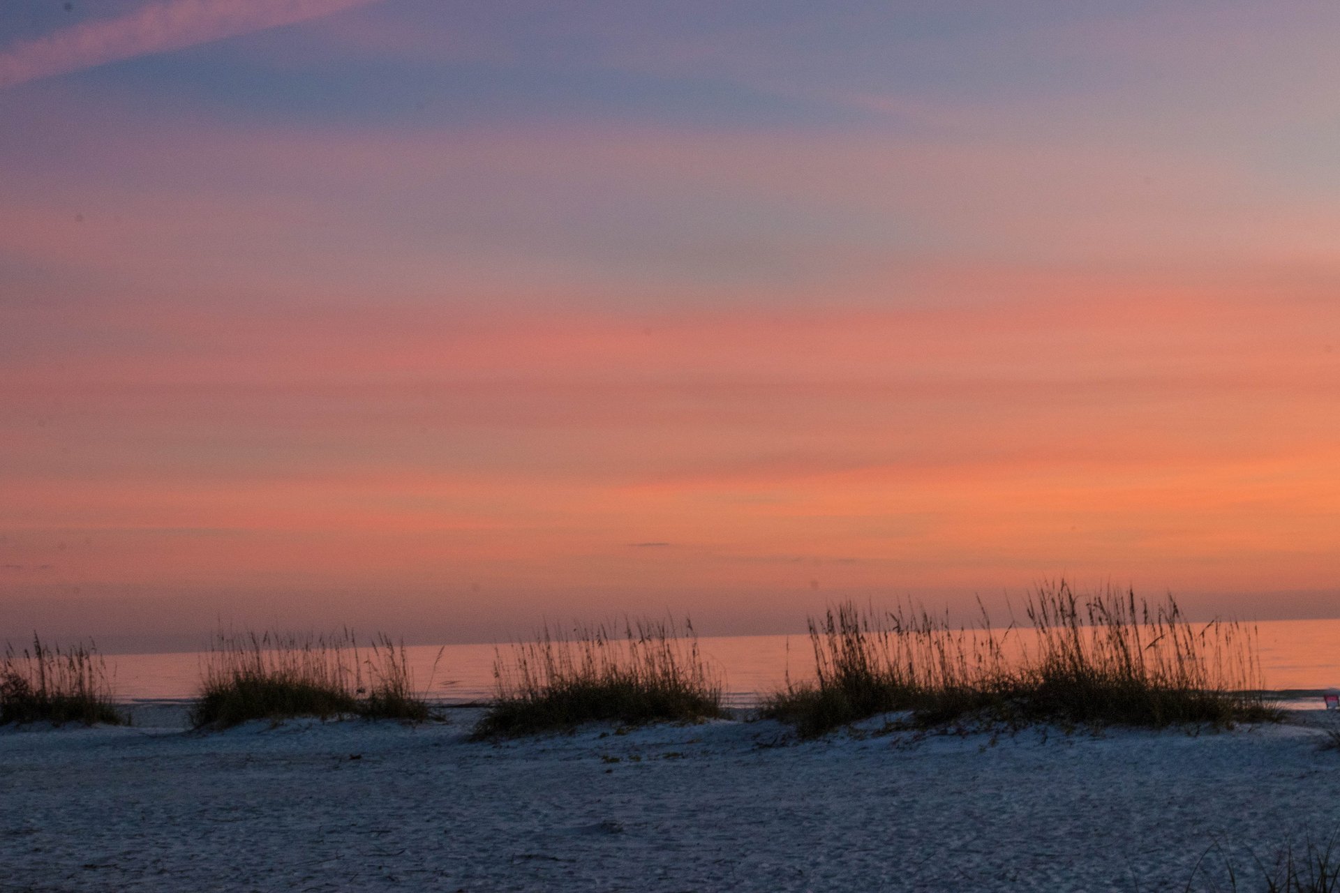 Turtle Cove East 40