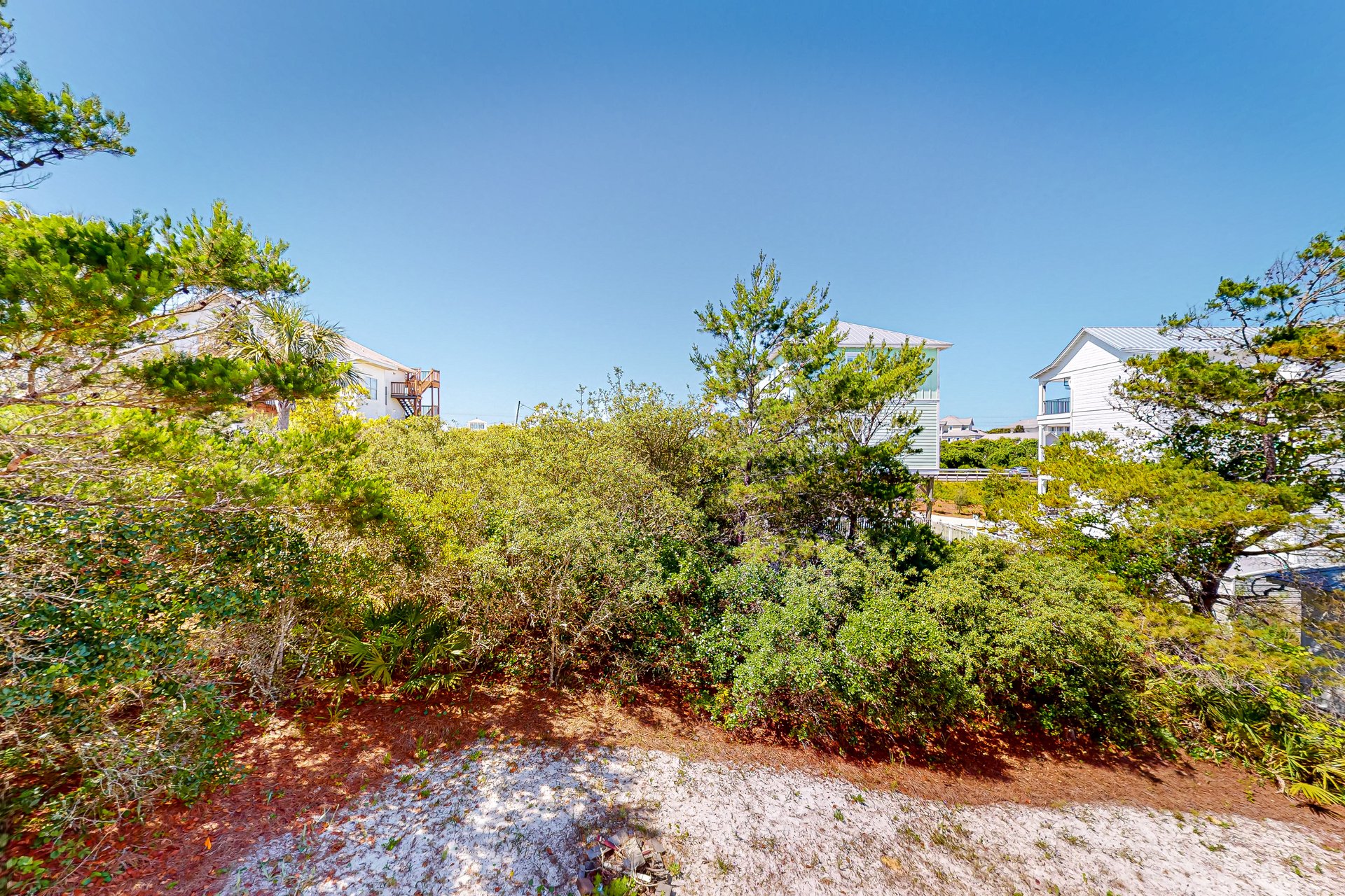 Baird Beach Beauty 26