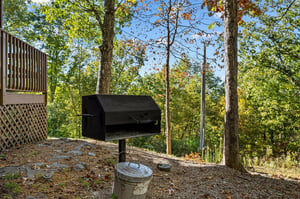 Park grill and trash can