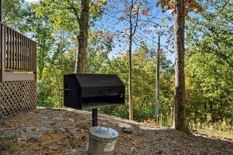 Park grill and trash can