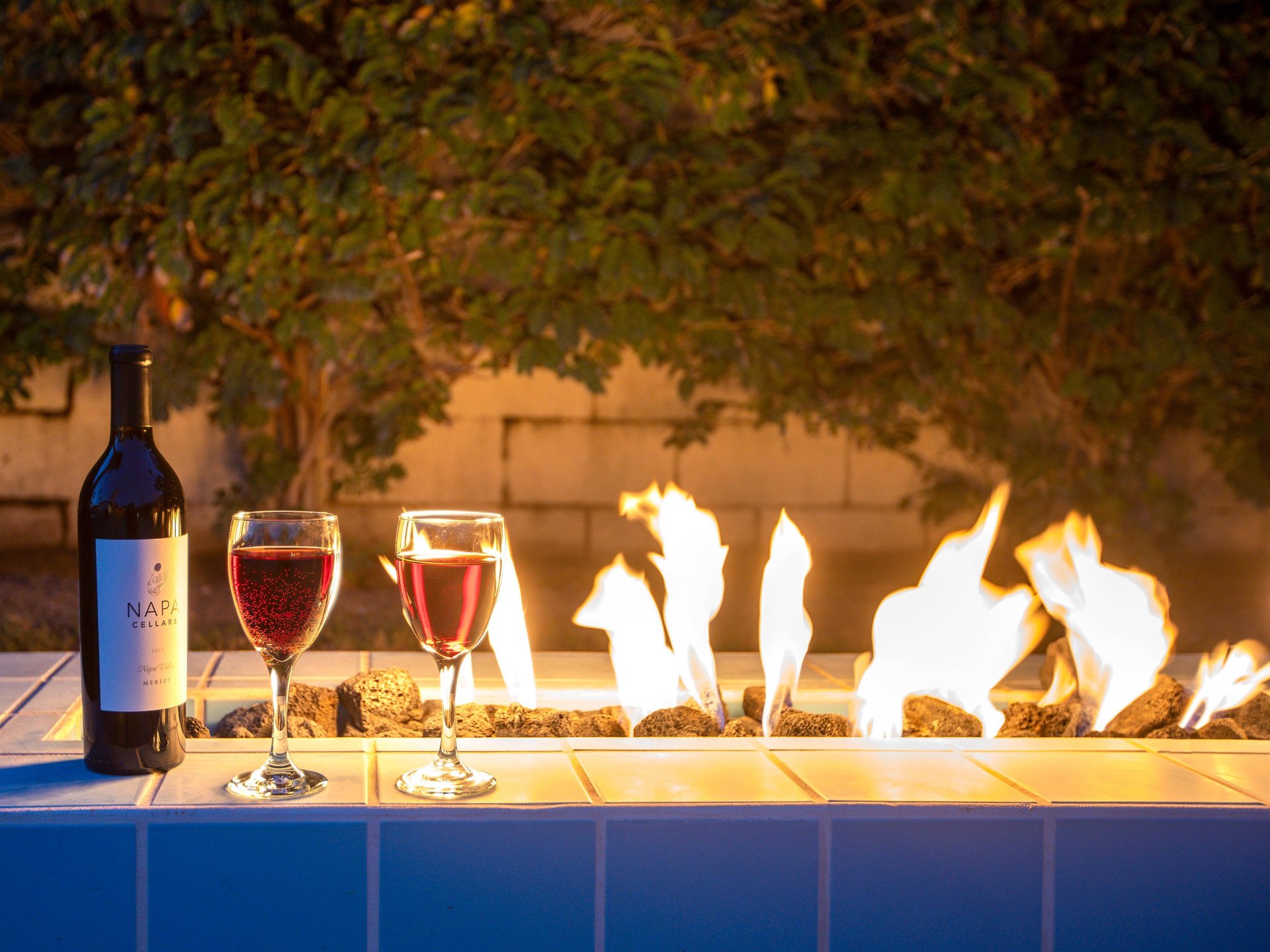 A Glass of Wine by the Fire