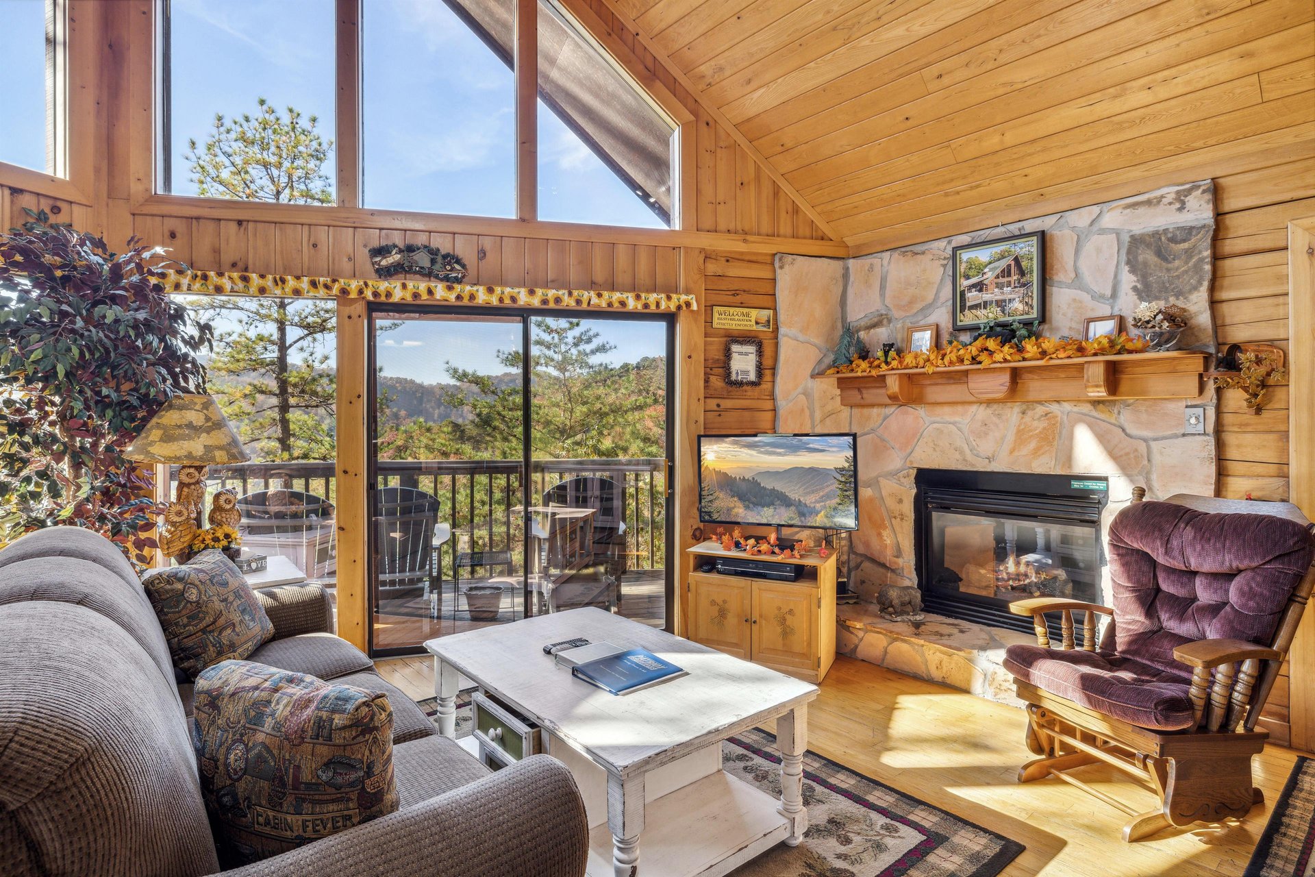 Living Room Fireplace Area