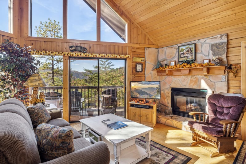 Living Room Fireplace Area