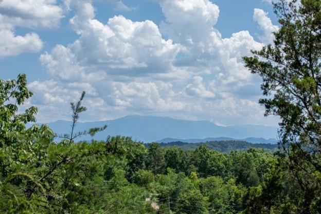 0 Mountain View