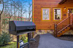 A charming log cabin exterior features a spacious BBQ grill for outdoor cooking adventures surrounded by peaceful forest views.