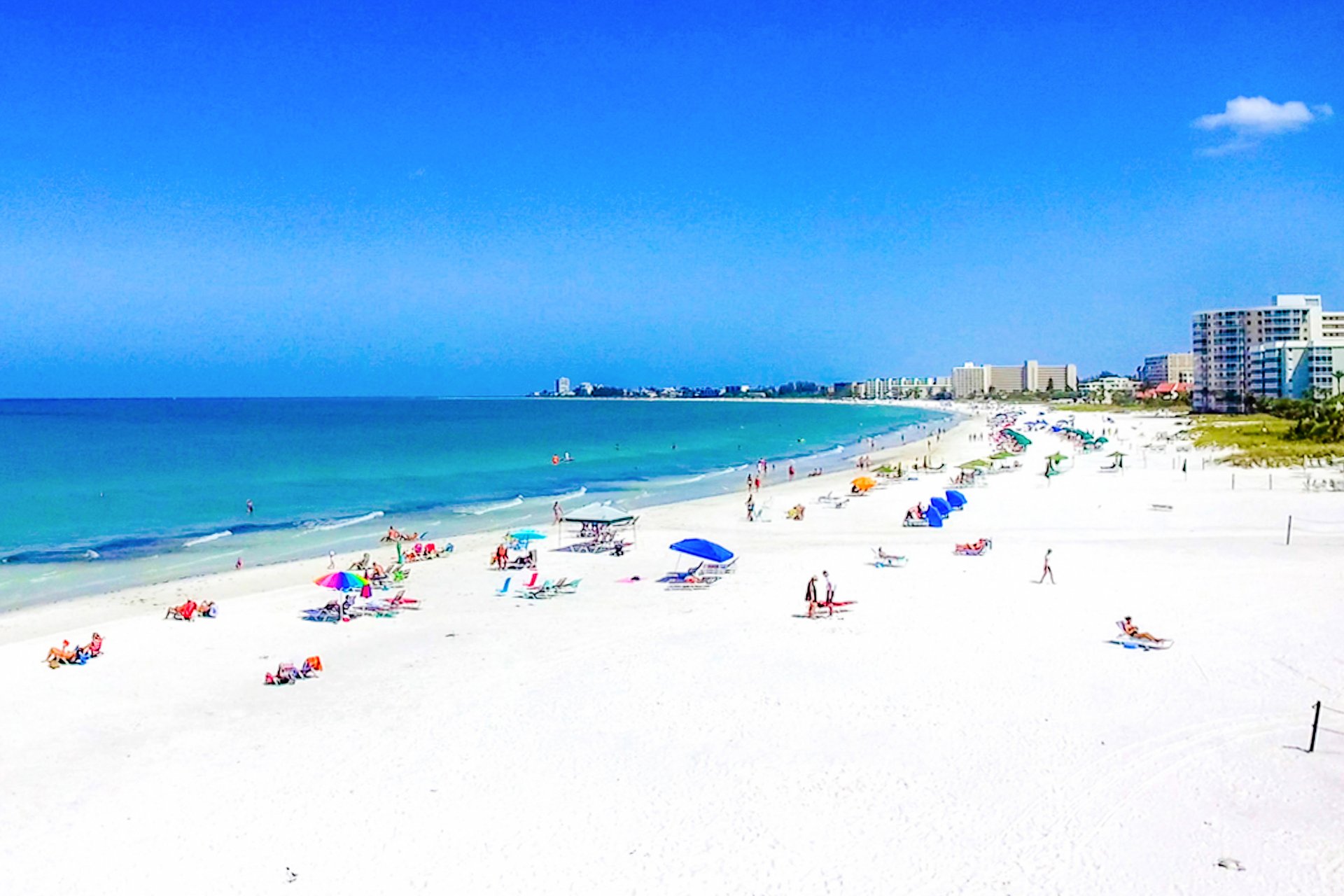 The Fancy Flamingo 43