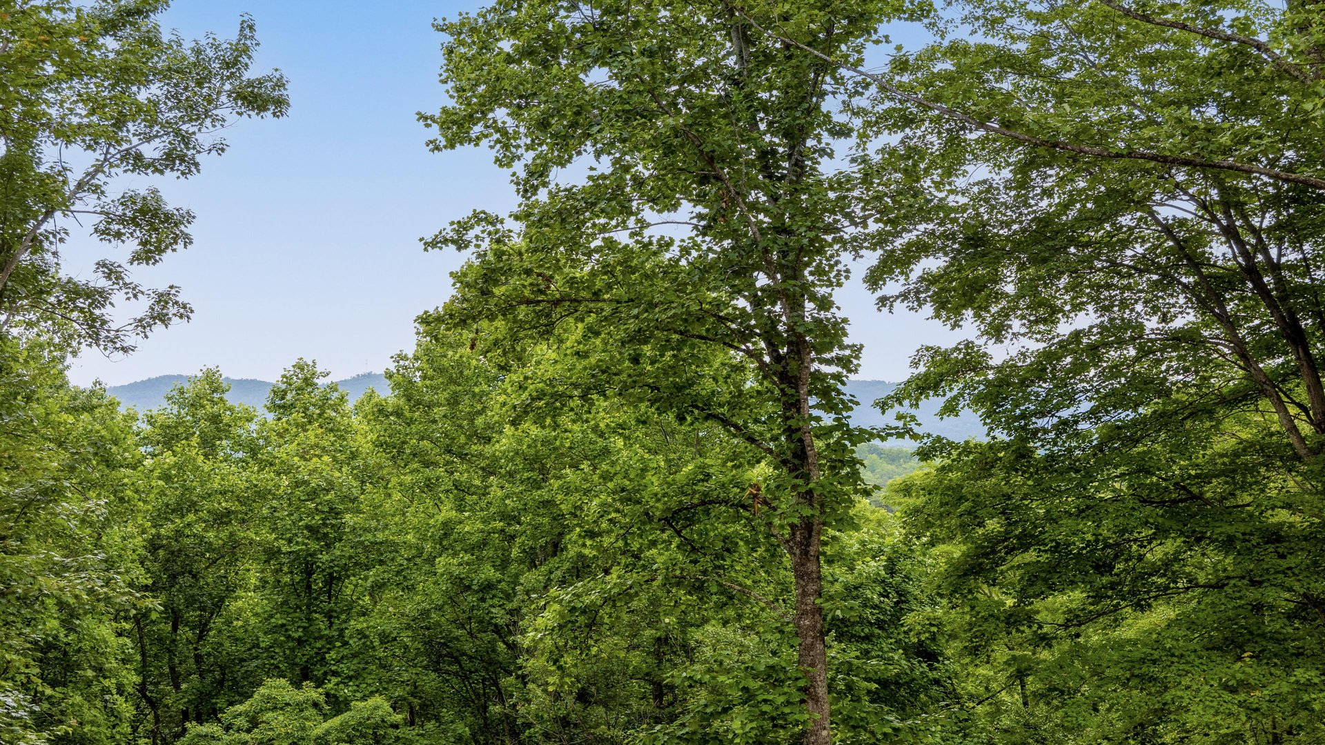 at swish splash lodge a 4 bedroom cabin rental located in gatlinburg