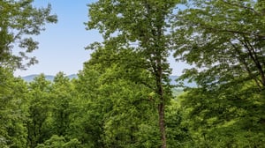 at swish splash lodge a 4 bedroom cabin rental located in gatlinburg