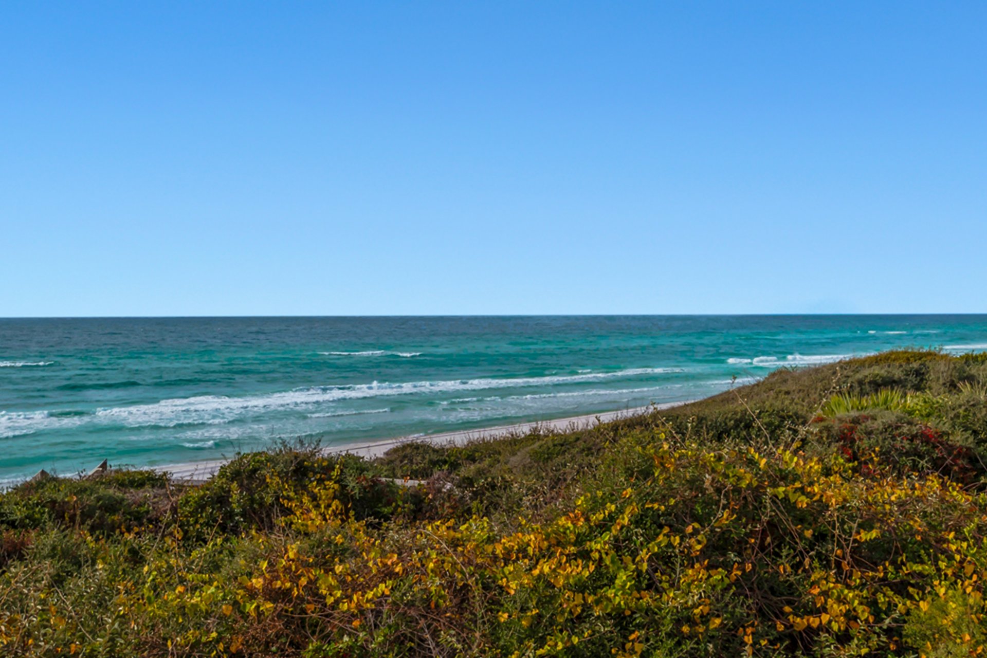 The Palms at Seagrove  D4 20