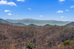 mountain views