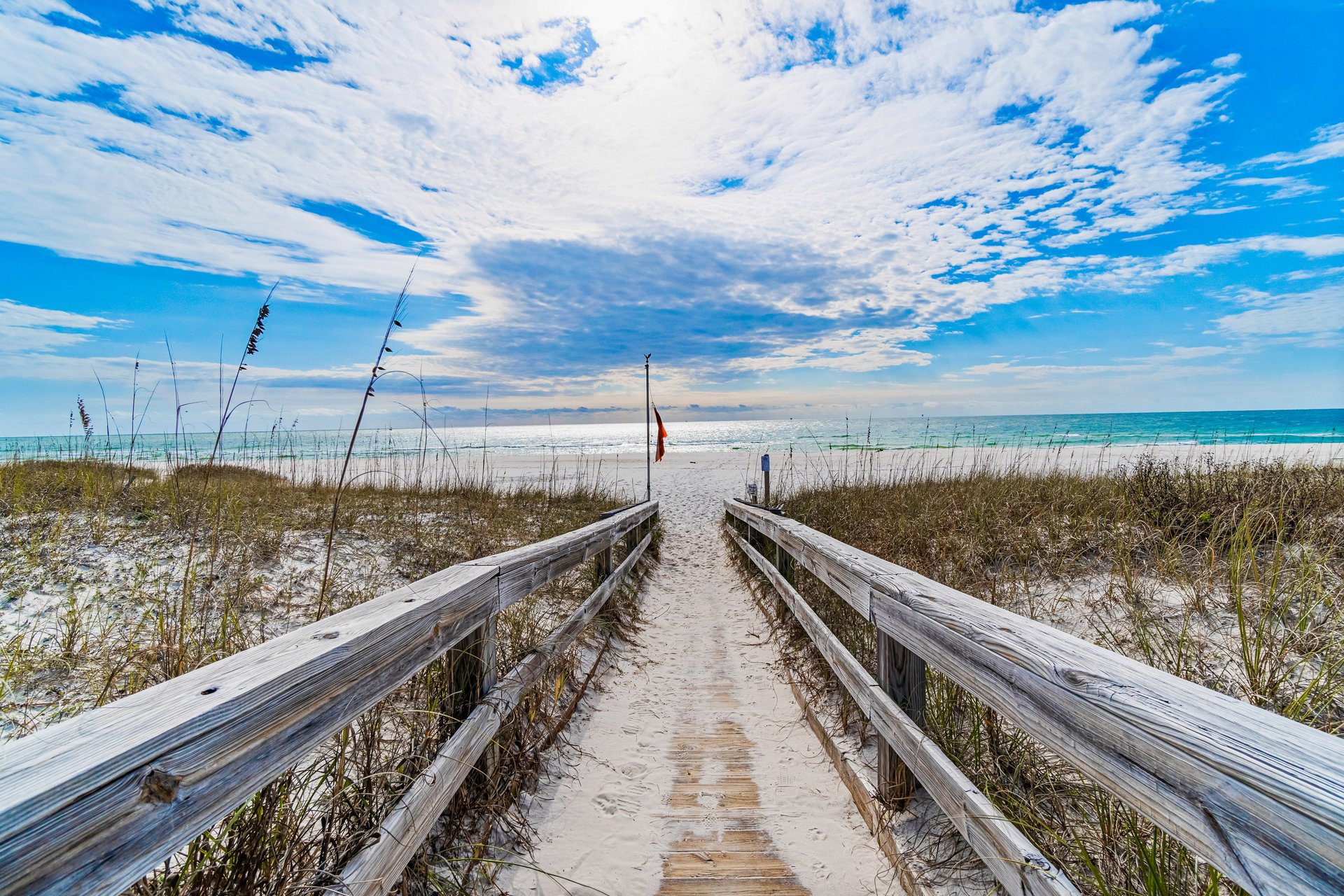 Mandevilla at Martinique 49