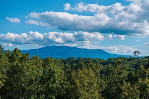 leconteviewlodgeext17