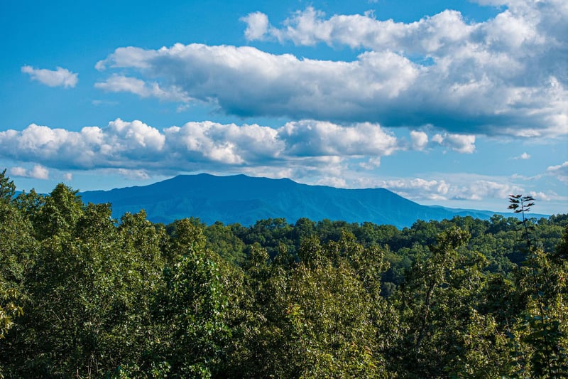 leconteviewlodgeext17