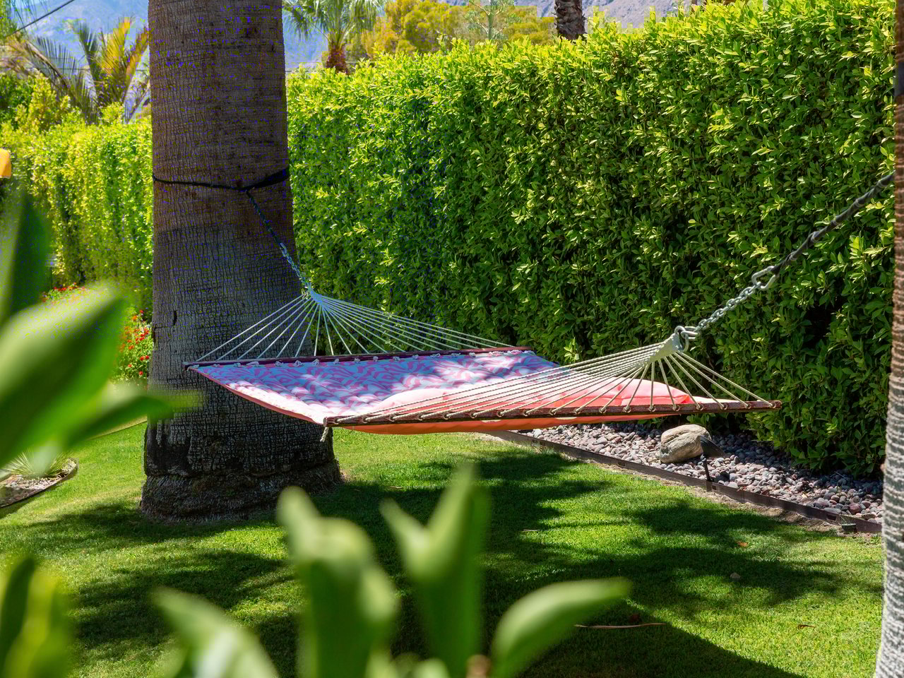 Sway all day in the hammock