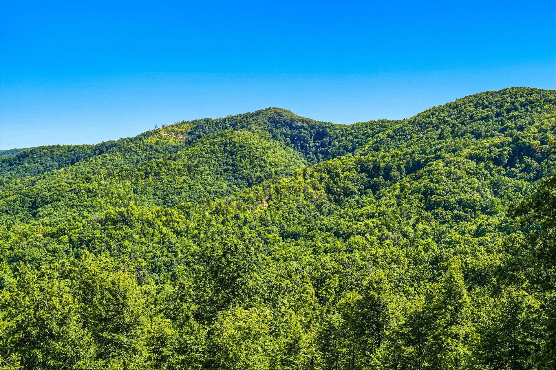 Lush forested mountains rise under a clear blue sky, offering a serene natural setting near the property and opportunities for outdoor exploration.