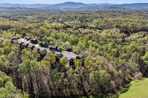Aerial view of Mountain Pool  Paradise