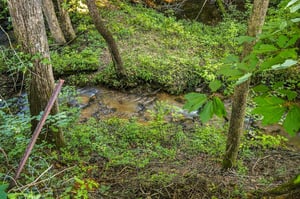 A peaceful stream winds through lush woodland near the property, offering a serene natural setting for your stay.