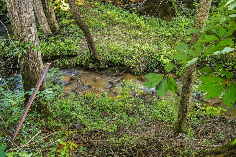 A peaceful stream winds through lush woodland near the property, offering a serene natural setting for your stay.