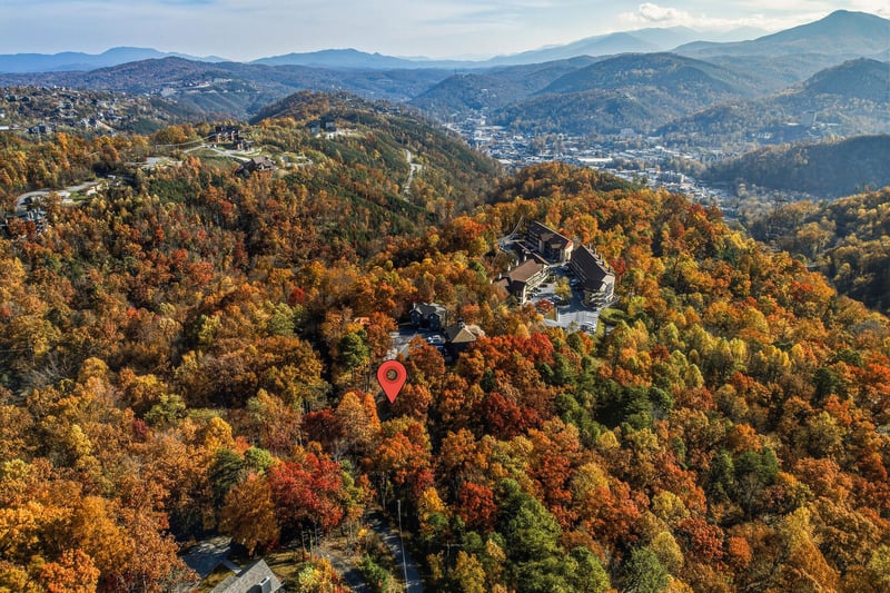 Aerial Property View