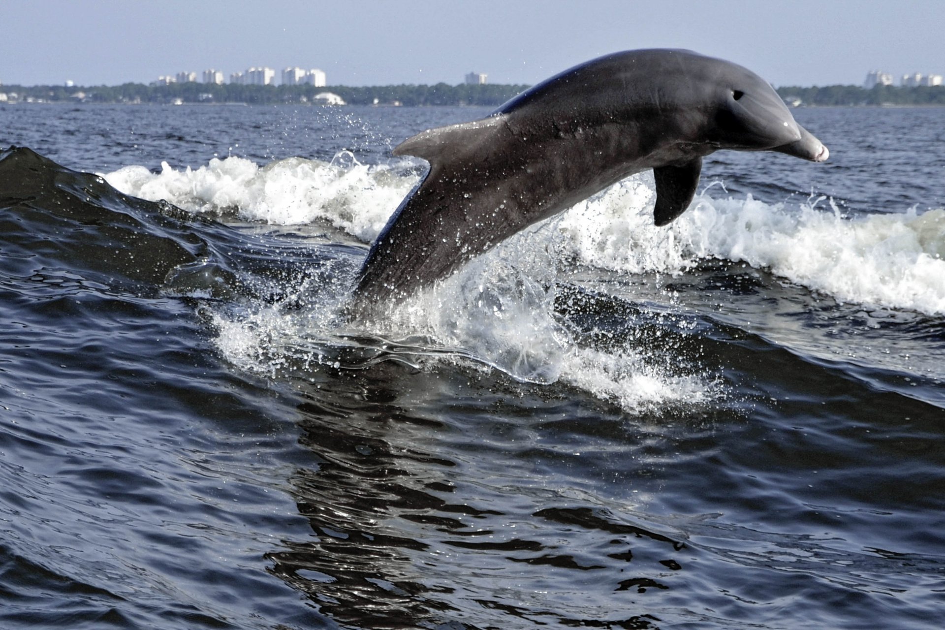 Back Bay Condominium 708 30